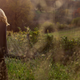 Illustration for article titled To Ponder Is a Positive Thing: A Chat With Singer-Songwriter Mary Chapin Carpenter